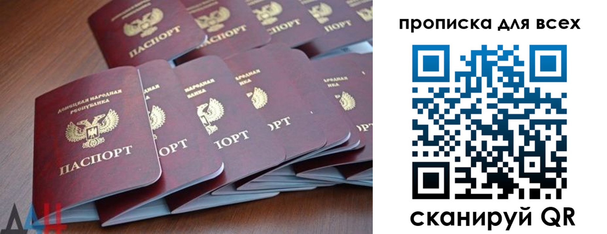 прописка в Светлом